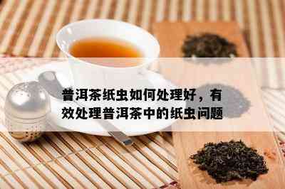 普洱茶纸虫怎样解决好，有效解决普洱茶中的纸虫疑问