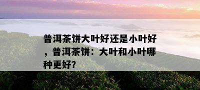 普洱茶饼大叶好还是小叶好，普洱茶饼：大叶和小叶哪种更好？