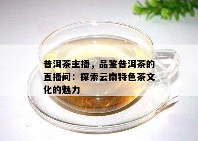 普洱茶主播，品鉴普洱茶的直播间：探索云南特色茶文化的魅力