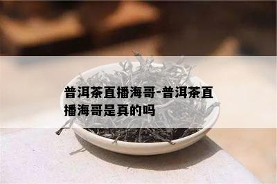 普洱茶直播海哥-普洱茶直播海哥是真的吗