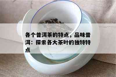 各个普洱茶的特点，品味普洱：探索各大茶叶的独特特点