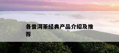 各普洱茶经典产品介绍及推荐