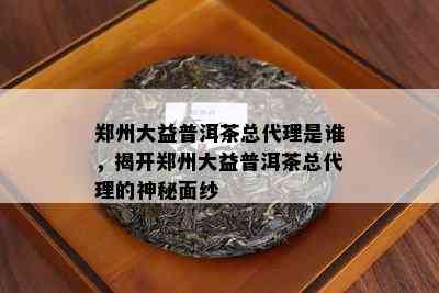 郑州大益普洱茶总代理是谁，揭开郑州大益普洱茶总代理的神秘面纱