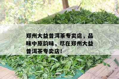 郑州大益普洱茶专卖店，品味中原韵味，尽在郑州大益普洱茶专卖店！