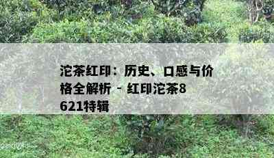 沱茶红印：历史、口感与价格全解析 - 红印沱茶8621特辑