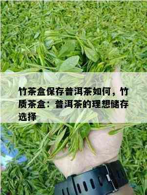 竹茶盒保存普洱茶怎样，竹质茶盒：普洱茶的理想储存选择