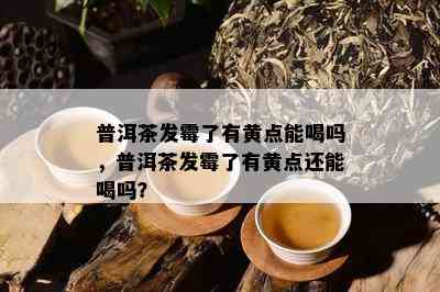 普洱茶发霉了有黄点能喝吗，普洱茶发霉了有黄点还能喝吗？