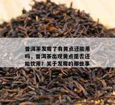 普洱茶发霉了有黄点还能用吗，普洱茶出现黄点是不是还能饮用？关于发霉的那些事