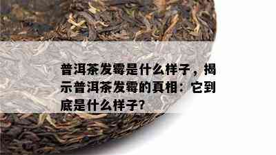 普洱茶发霉是什么样子，揭示普洱茶发霉的真相：它到底是什么样子？