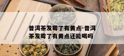 普洱茶发霉了有黄点-普洱茶发霉了有黄点还能喝吗