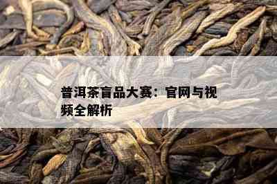 普洱茶盲品大赛：官网与视频全解析