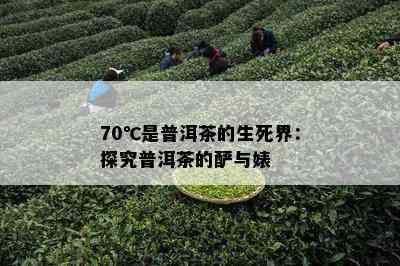 70℃是普洱茶的生死界：探究普洱茶的酽与婊