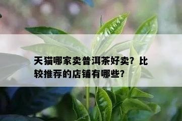 天猫哪家卖普洱茶好卖？比较推荐的店铺有哪些？