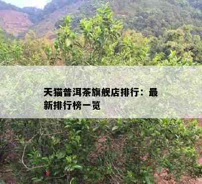 天猫普洱茶旗舰店排行：最新排行榜一览