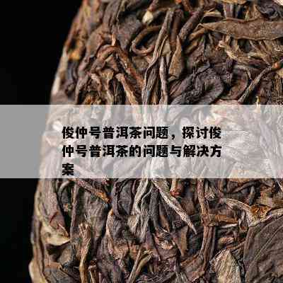 俊仲号普洱茶疑问，探讨俊仲号普洱茶的疑问与解决方案