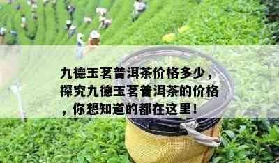 九德玉茗普洱茶价格多少，探究九德玉茗普洱茶的价格，你想知道的都在这里！