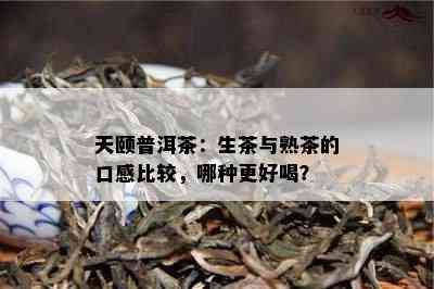 天颐普洱茶：生茶与熟茶的口感比较，哪种更好喝？