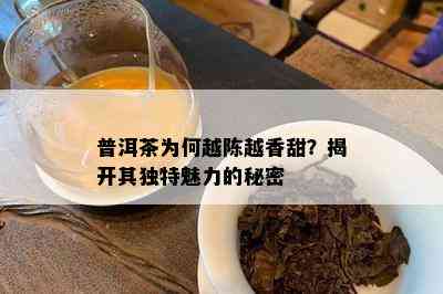 普洱茶为何越陈越香甜？揭开其独特魅力的秘密