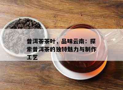 普洱茶茶叶，品味云南：探索普洱茶的特别魅力与制作工艺