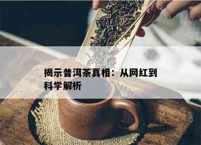 揭示普洱茶真相：从网红到科学解析