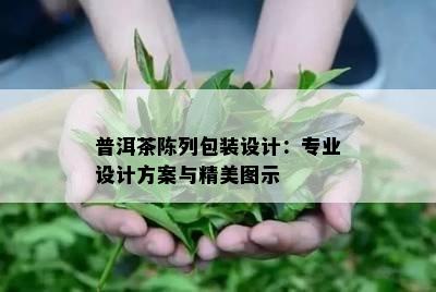 普洱茶陈列包装设计：专业设计方案与精美图示