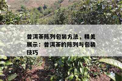 普洱茶陈列包装方法，精美展示：普洱茶的陈列与包装技巧