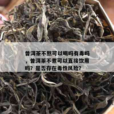 普洱茶不熬可以喝吗有吗，普洱茶不煮可以直接饮用吗？是否存在性风险？