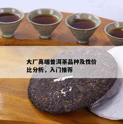 大厂高端普洱茶品种及性价比分析，入门推荐