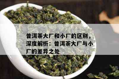 普洱茶大厂和小厂的区别，深度解析：普洱茶大厂与小厂的差异之处