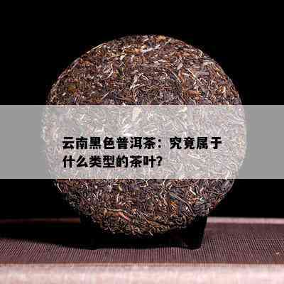 云南黑色普洱茶：究竟属于什么类型的茶叶？