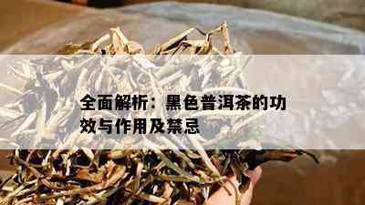 全面解析：黑色普洱茶的功效与作用及禁忌