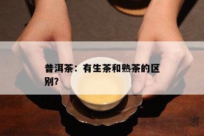 普洱茶：有生茶和熟茶的区别？