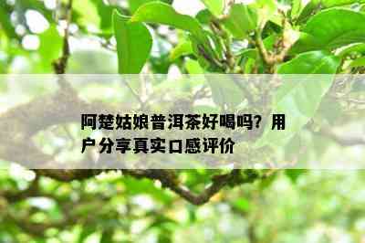 阿楚姑娘普洱茶好喝吗？客户分享真实口感评价