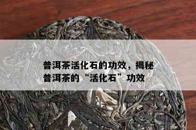 普洱茶活化石的功效，揭秘普洱茶的“活化石”功效