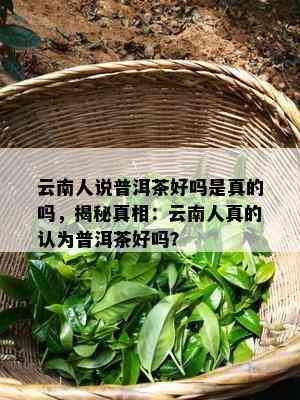 云南人说普洱茶好吗是真的吗，揭秘真相：云南人真的认为普洱茶好吗？