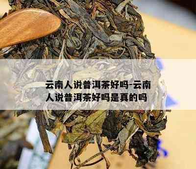 云南人说普洱茶好吗-云南人说普洱茶好吗是真的吗