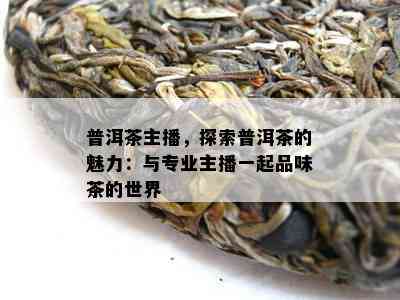 普洱茶主播，探索普洱茶的魅力：与专业主播一起品味茶的世界