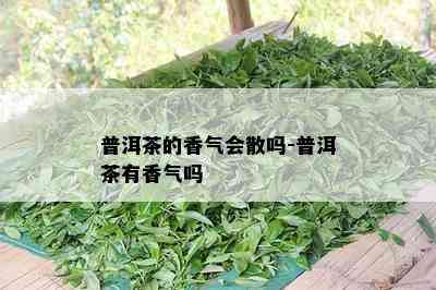 普洱茶的香气会散吗-普洱茶有香气吗