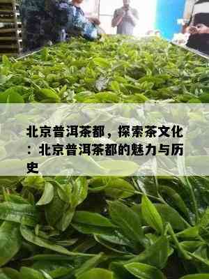 北京普洱茶都，探索茶文化：北京普洱茶都的魅力与历史