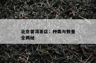 北京普洱茶店：种类与数量全揭秘