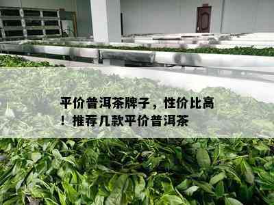 平价普洱茶牌子，性价比高！推荐几款平价普洱茶