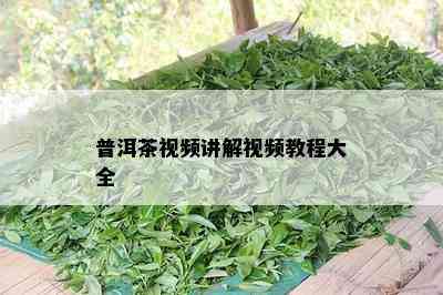 普洱茶视频讲解视频教程大全