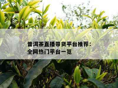 普洱茶直播带货平台推荐：全网热门平台一览