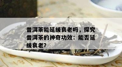 普洱茶能延缓衰老吗，探究普洱茶的神奇功效：能否延缓衰老？