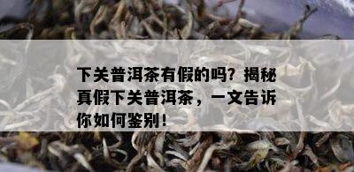 下关普洱茶有假的吗？揭秘真假下关普洱茶，一文告诉你如何鉴别！