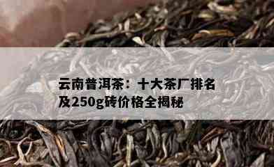 云南普洱茶：十大茶厂排名及250g砖价格全揭秘