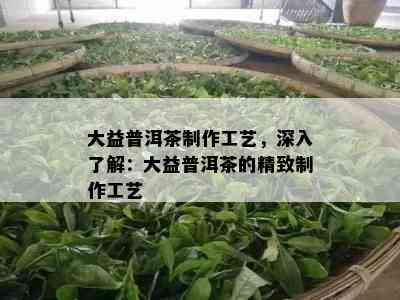 大益普洱茶制作工艺，深入了解：大益普洱茶的精致制作工艺