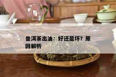 普洱茶出油：好还是坏？起因解析