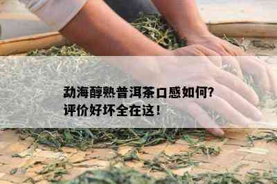 勐海醇熟普洱茶口感怎样？评价好坏全在这！