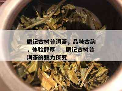 康记古树普洱茶，品味古韵，体验醇厚——康记古树普洱茶的魅力探究